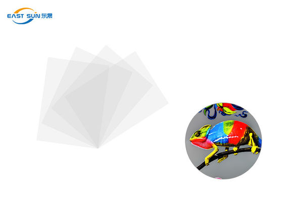 قیمت خوب عرض معمولی 60cm 33cm 30cm DTF فیلم انتقال حرارت رنگ سفید آنلاین